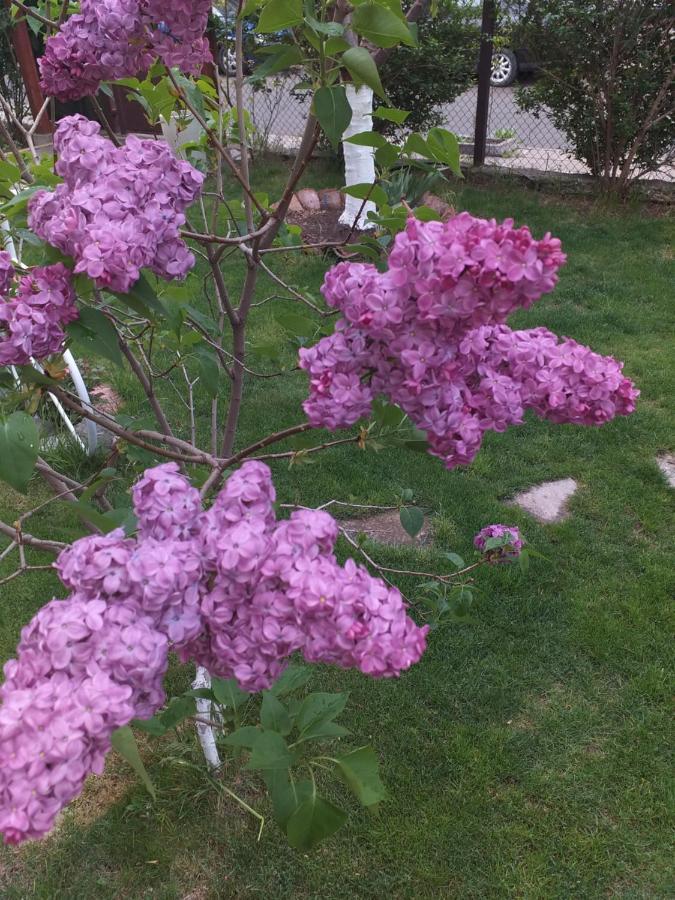 Kesta Za Gosti Gradina Villa Aheloy Buitenkant foto